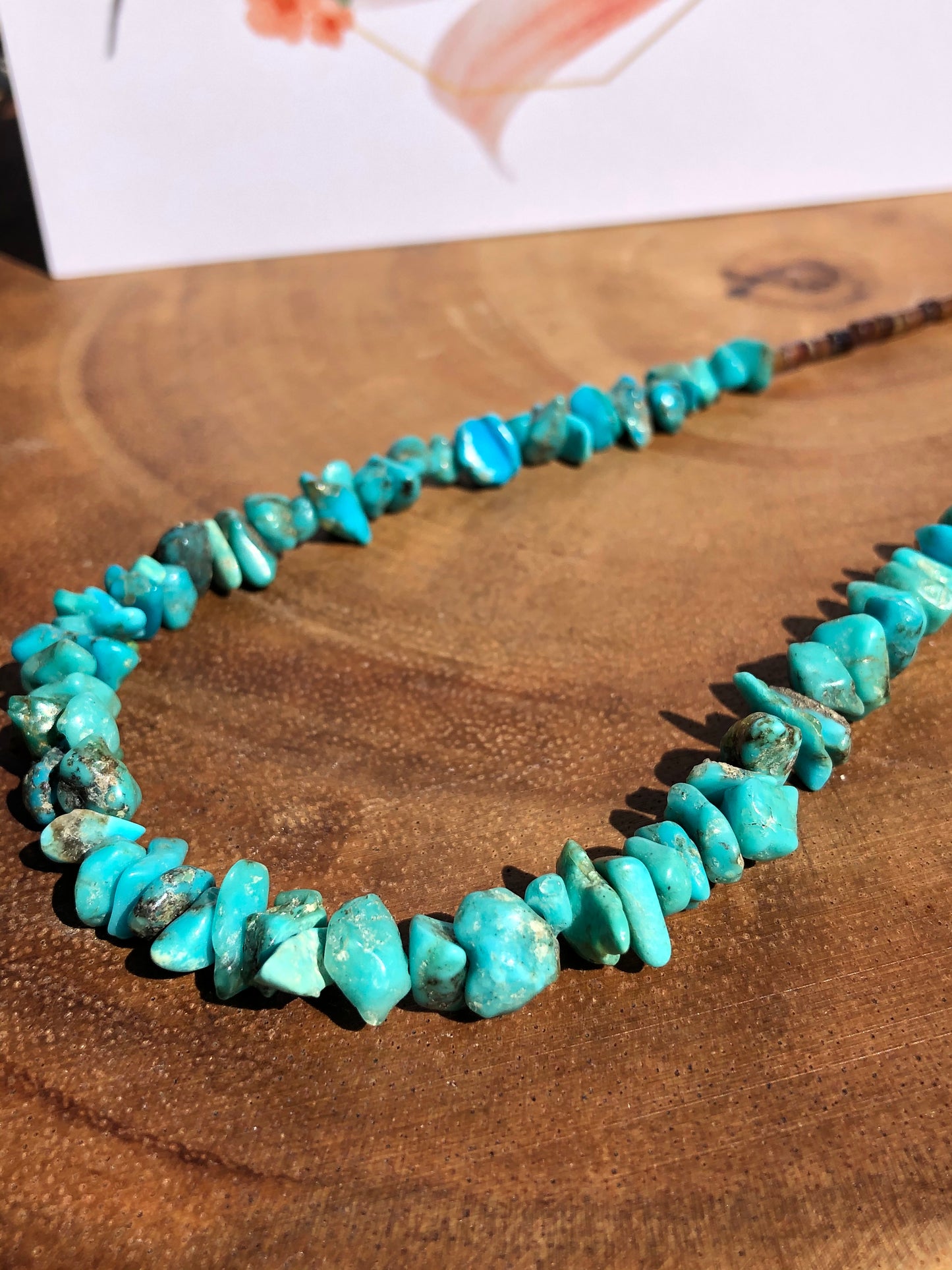 Old Vintage Pawn Fox Turquoise Bead + Heishi Necklace