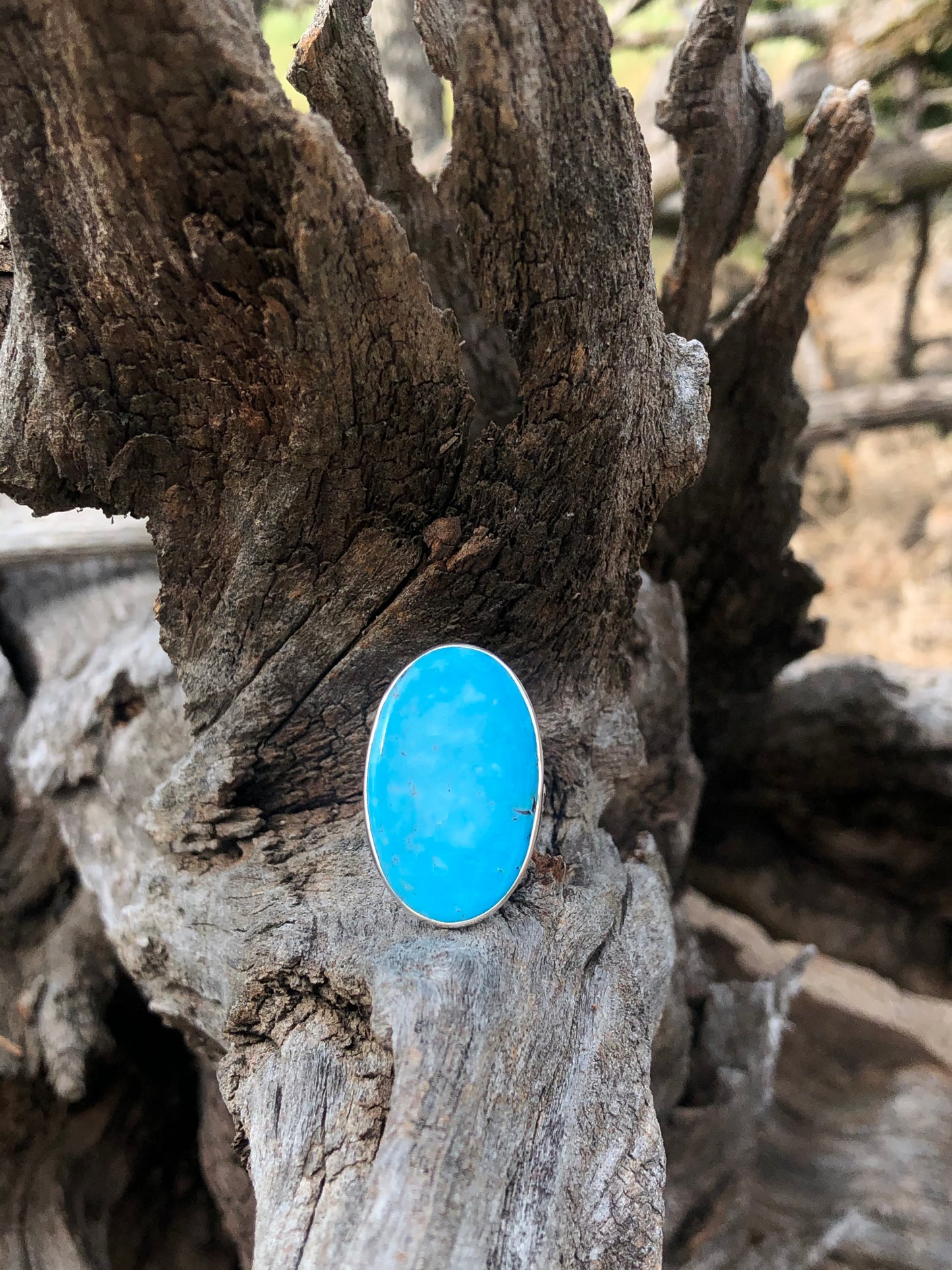 New Sterling Oval Turquoise Ring